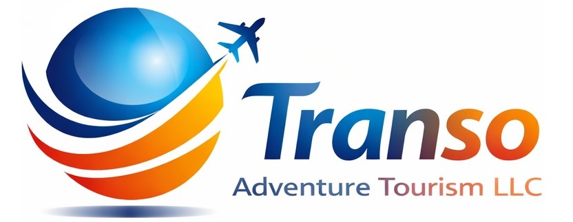 transo adv logo